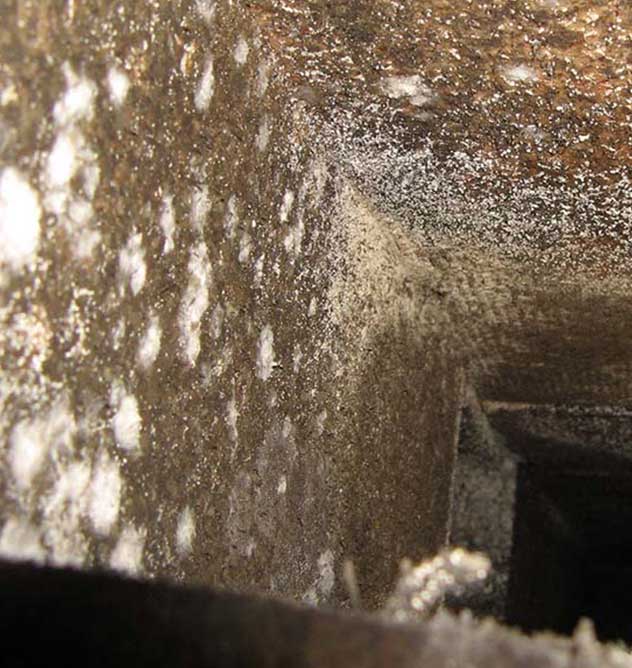 mold in ac system -