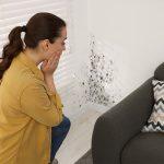 The Most Common Causes Of Mold In Your Home