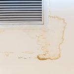 Mold In Your HVAC System