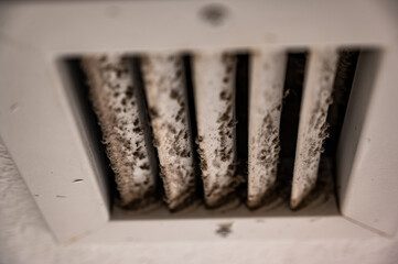 Mold In Your HVAC System