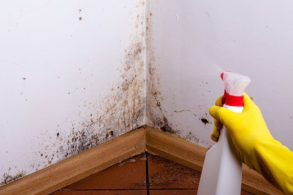 Here Are Some Ways You Can Keep Mold Out Of Your Home