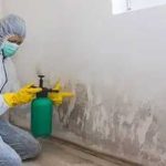 Easy Mold Clean Up For Your Home