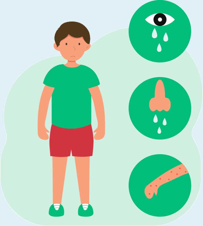 Mold Testing FAQs