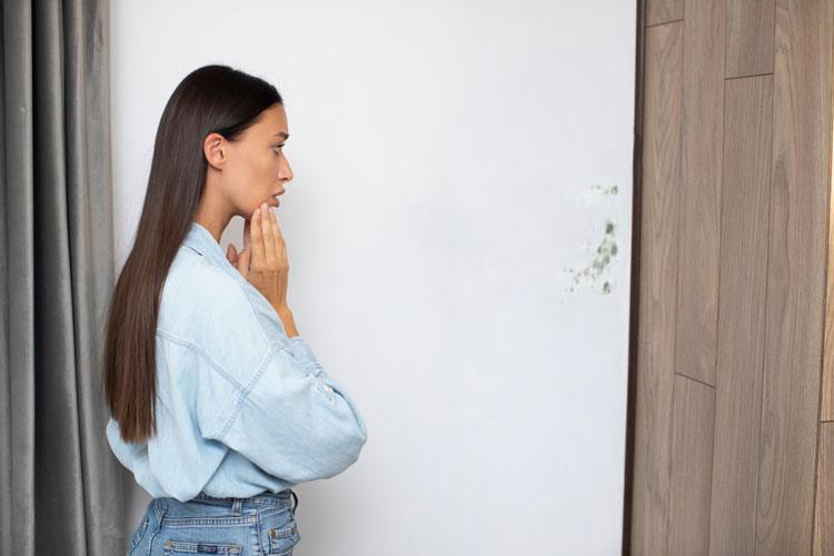 Spot Mold