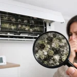 10 Top Signs of AC Mold Contamination at Home